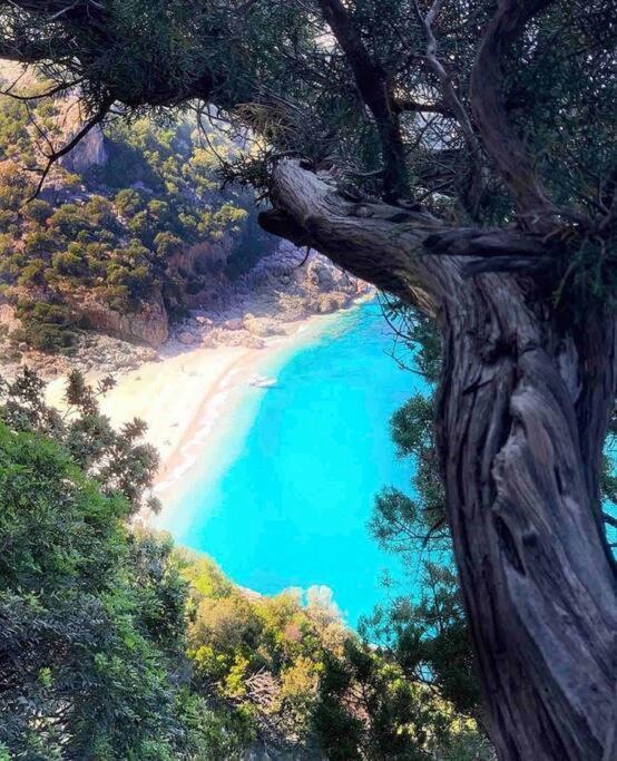 Сasa de vacaciones Capri 53 Àrbatax